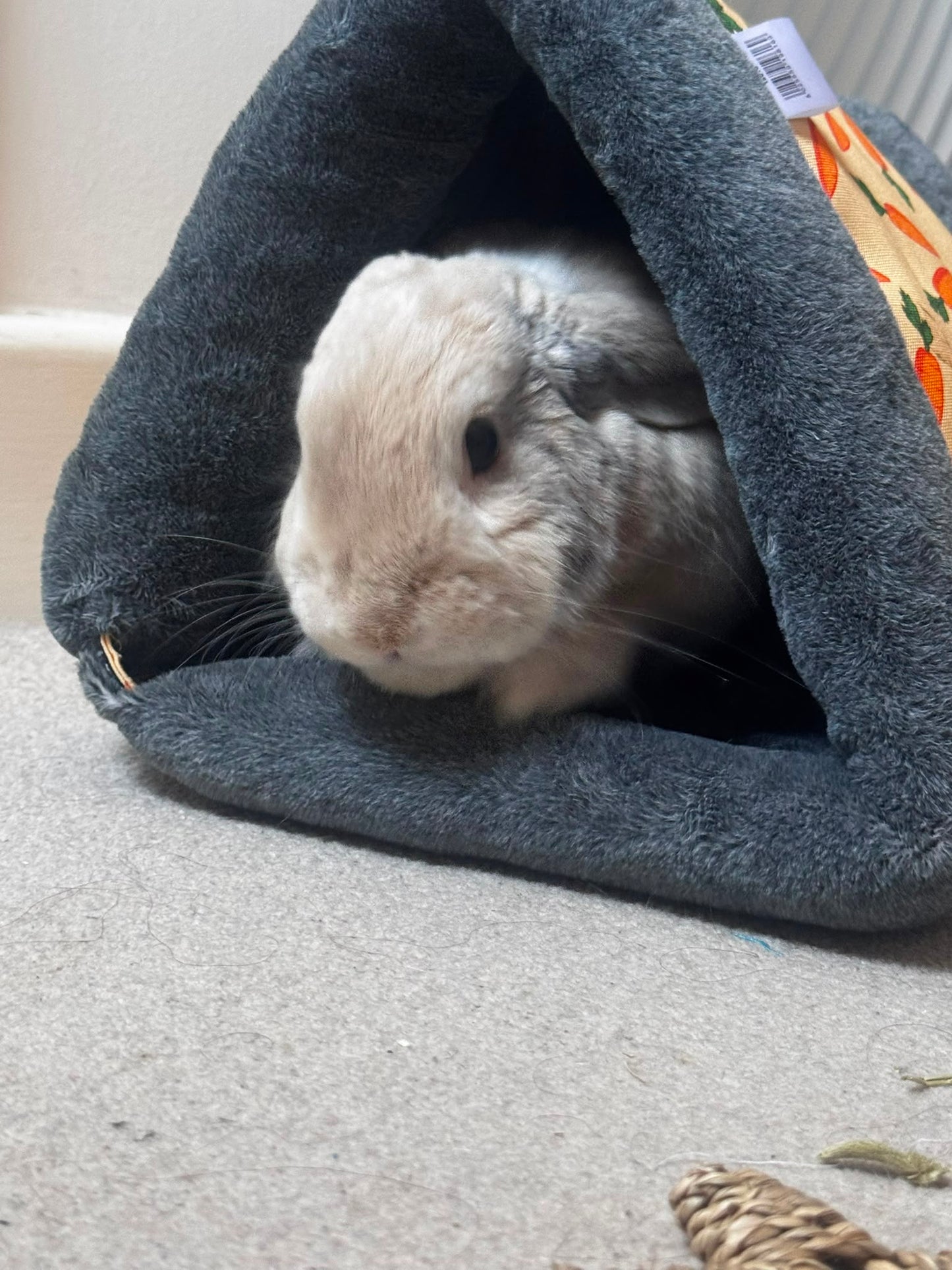 Rosewood | Carrot Snuggle 'n' Sleep Tunnel