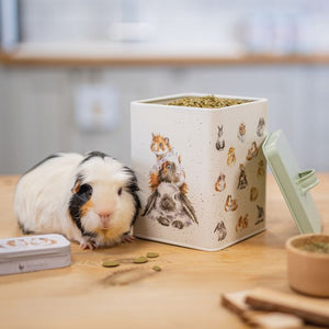 Piggy In The Middle Treat Tin