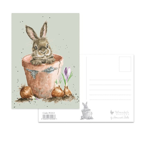 Flower Pot Bunny Postcard
