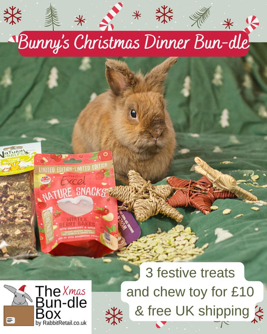 Bunny's Christmas Dinner Bun-dle