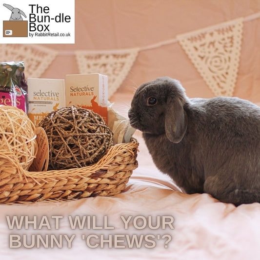 The Bun-dle Basket