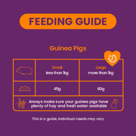 Burgess excel nuggets with mint guinea pig 10kg clearance