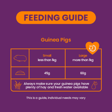 Excel Guinea Pig Nuggets with Blackcurrant & Oregano - 10KG