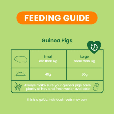 Excel Guinea Pig Nuggets with Mint 10KG