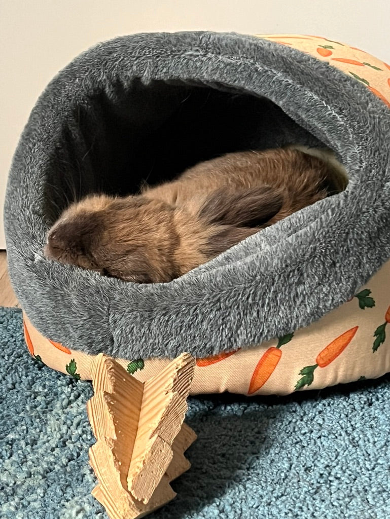 Brownie, a brown lion head rabbit is asleep on his side in a gray pet bed with carrot-patterned fabric outer. He looks very happy. 