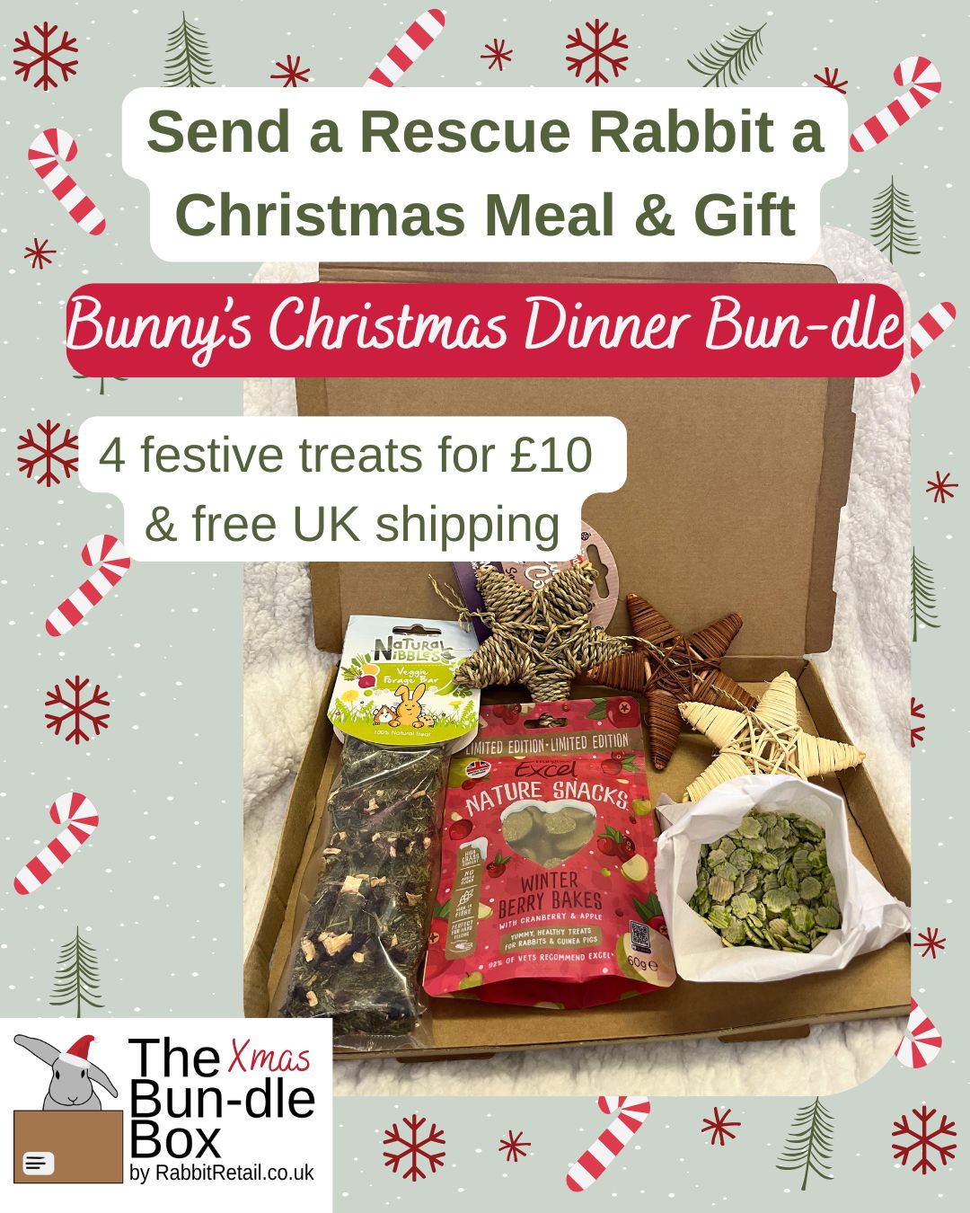 Rescue Rabbit's Christmas Dinner Bun-dle