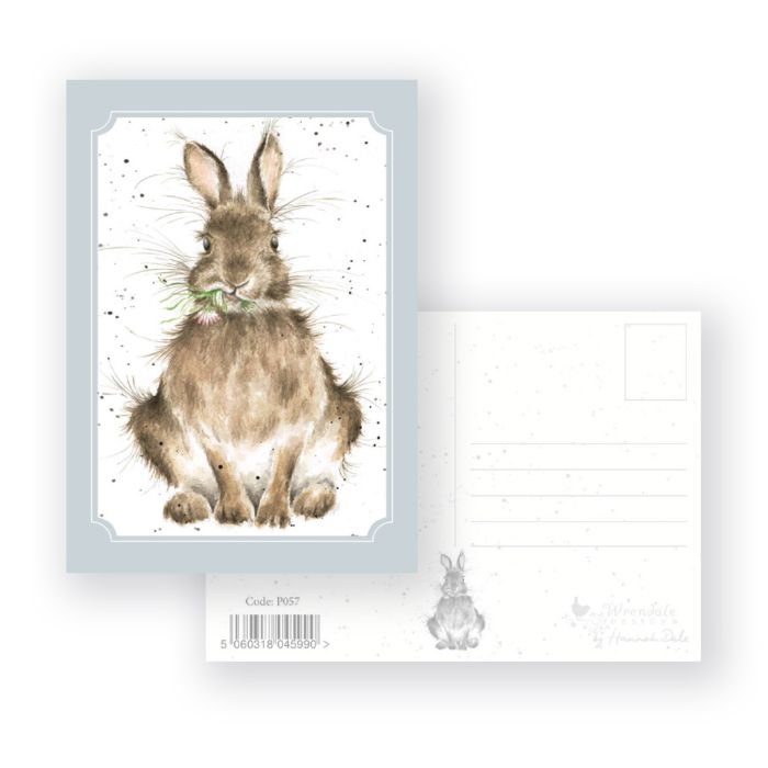 Dassy Rabbit Daisy Rabbit Postcard – Rabbit Retail