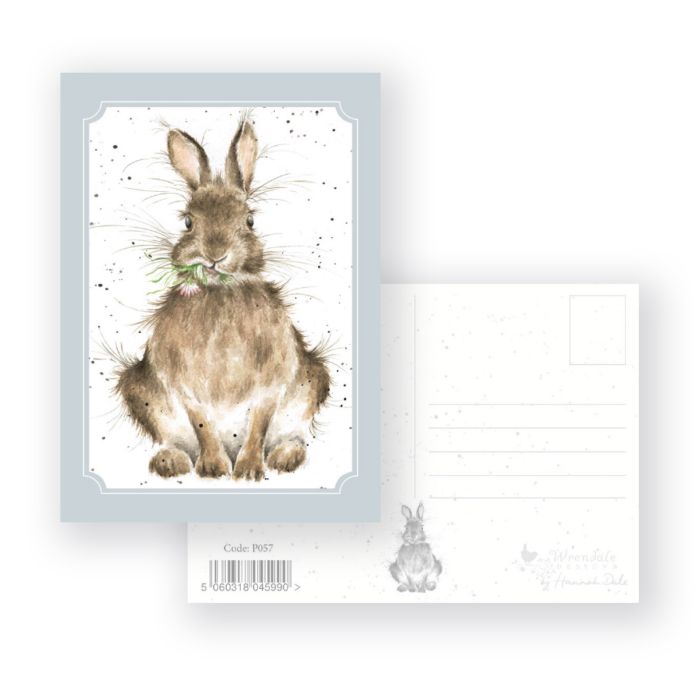Daisy Rabbit Postcard