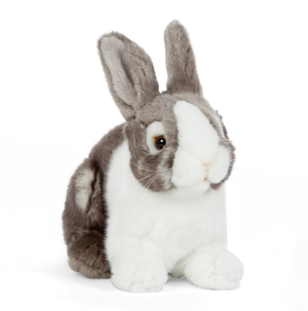 Dutch Rabbit Plush