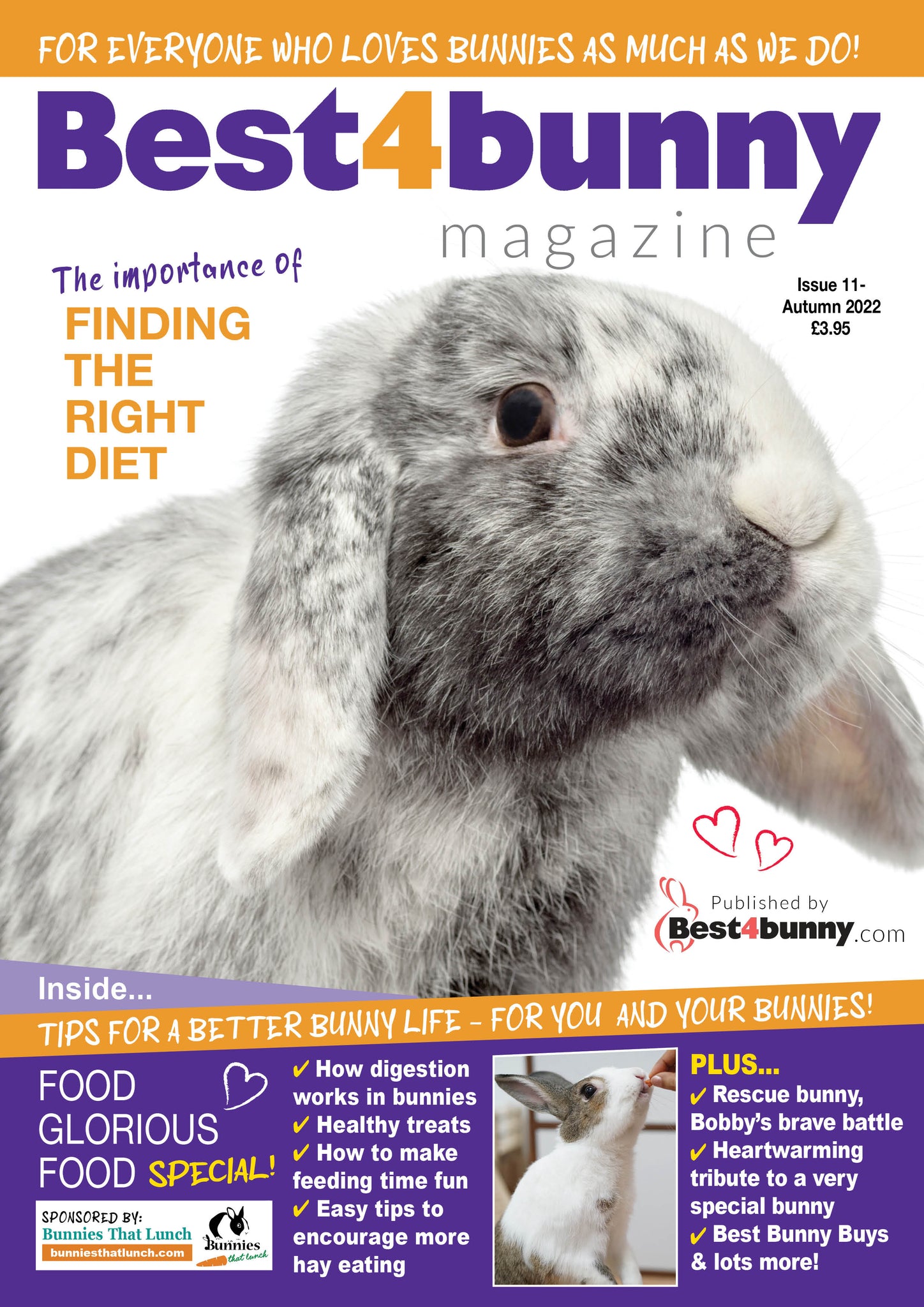 best 4 bunny magazine issue 11 autumn 2022. The cover shows a grey and white lop eared rabbit and a top article titles 'the importance of finding the right diet'. Inside includes tips for a better bunny life for you and your bunnies. 
