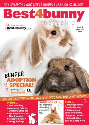 Best4Bunny Magazine Winter 2022 Issue