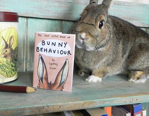 Bunny Behaviour Zine