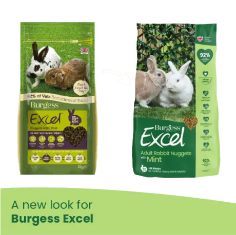 A new look for burgess excel. an image of the previous packaging with a white arrow pointing to the new packaging as described in the first image. 