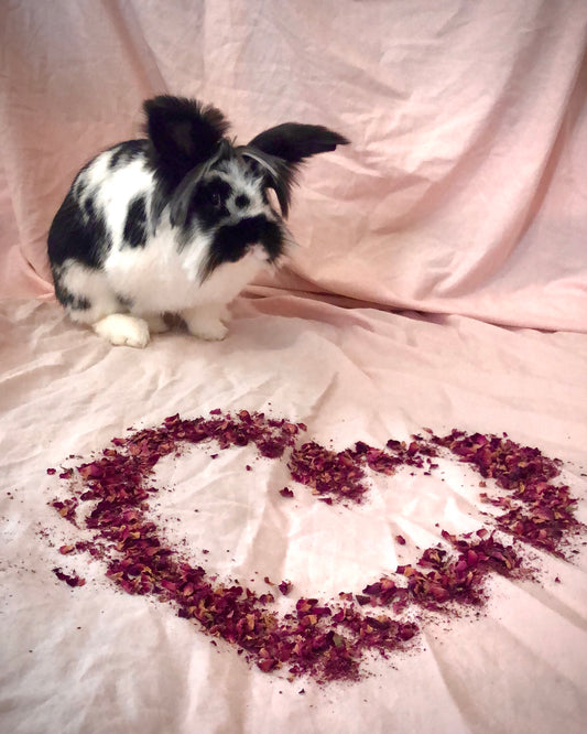 Dried Rose Petals