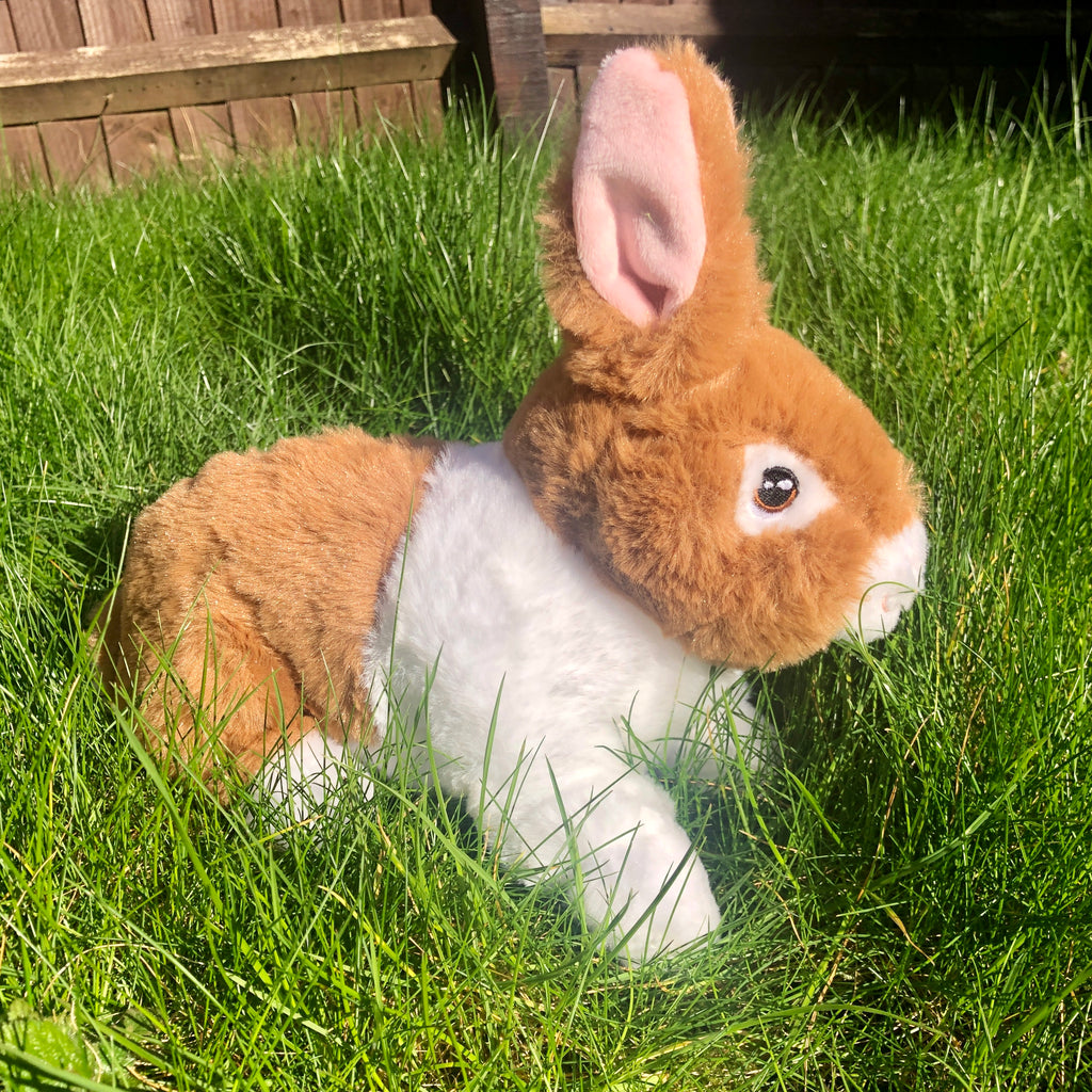 Dutch Plush Bunny