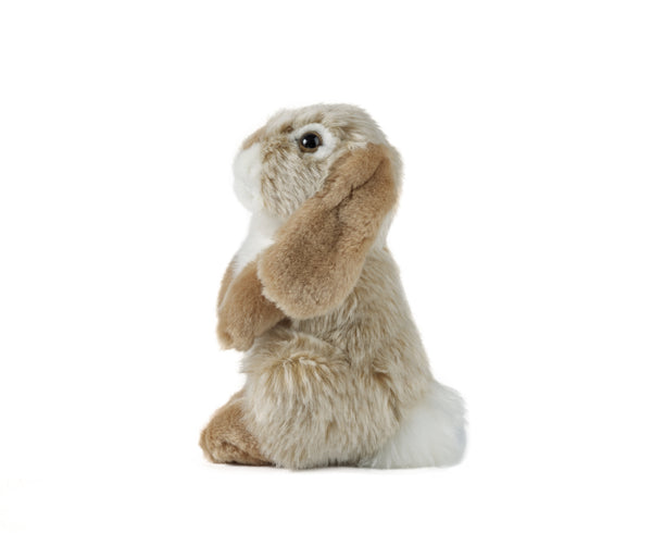 Sitting Lop Eared Rabbit Plush