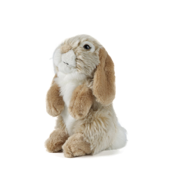 Sitting Lop Eared Rabbit Plush