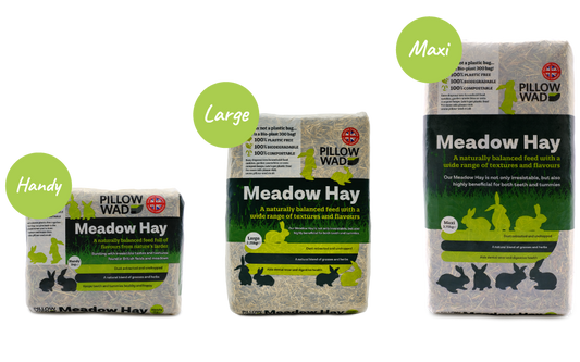 Mask Hay Hay-mazing – Rabbit Retail