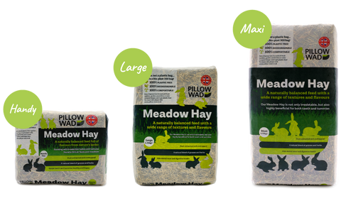 Meadow Hay