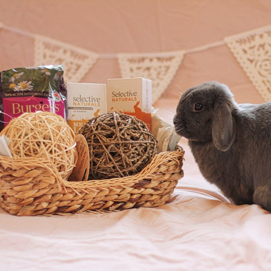 The Bun-dle Basket