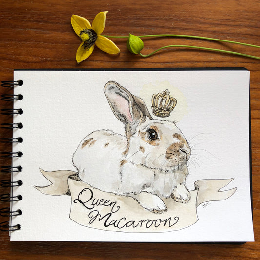 Custom Pet Portraits