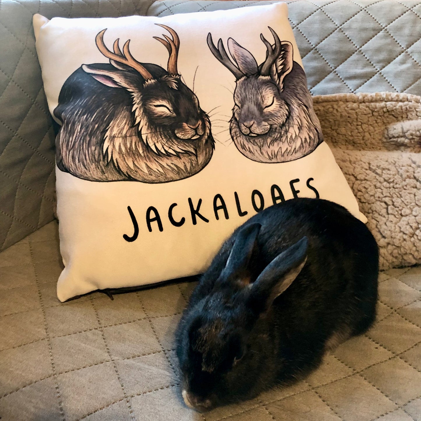 Jackaloafs Cushion Cover