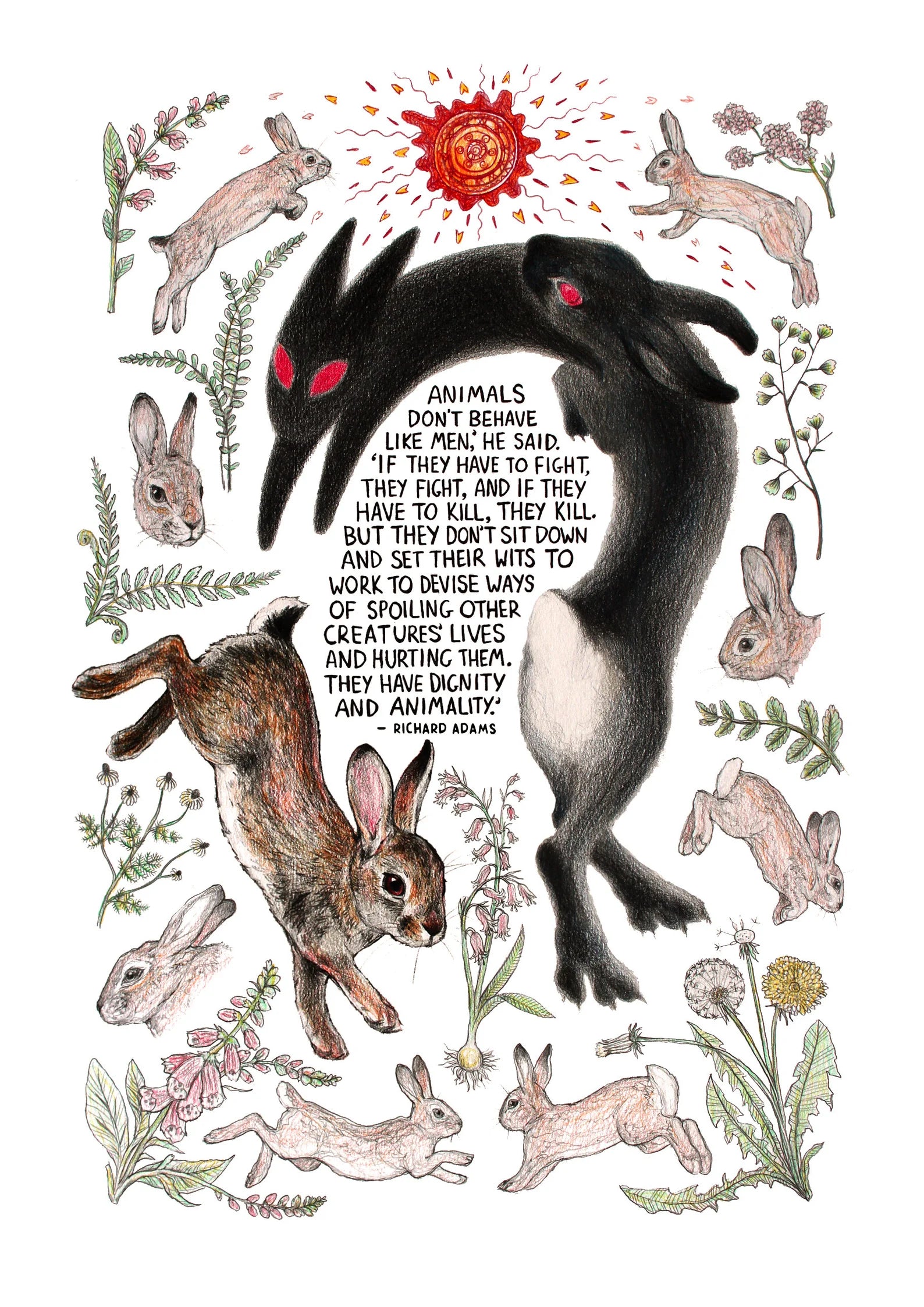 Black Rabbit Watership Down Print