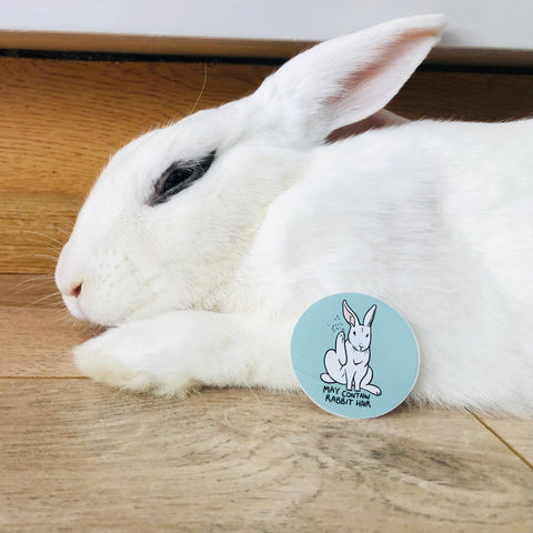 May Contain Rabbit Hair Sticker