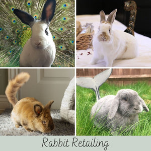 Rabbit Retailing