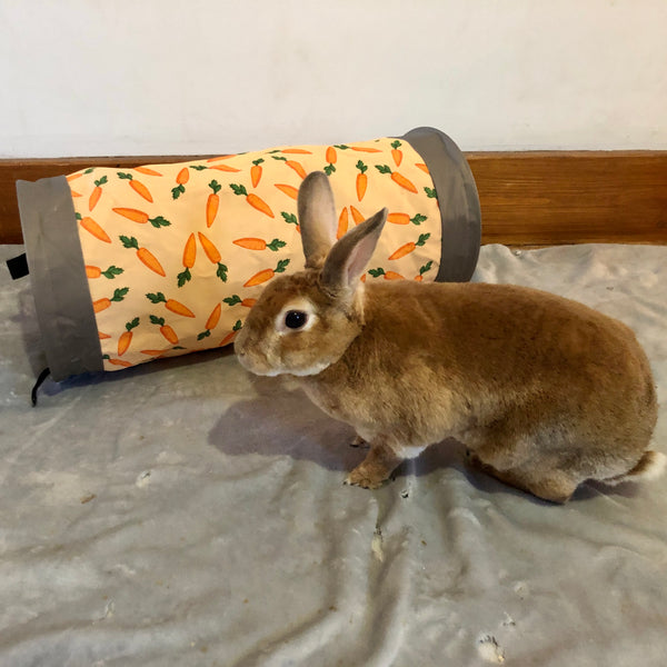 Ruby the tan rex rabbit pictured beside a Rosewood carrot fabric tunnel.
