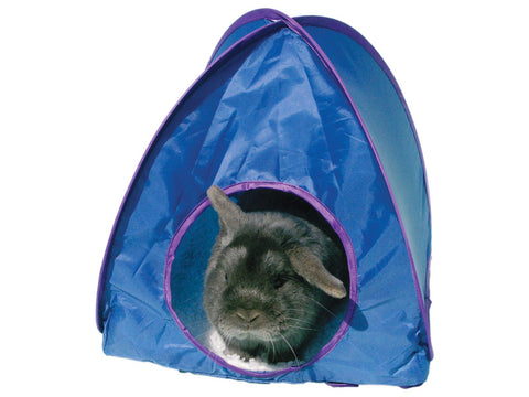Grey lop bunny with one ear raised looks out from a blue Rosewood pop-up tent for rabbits.