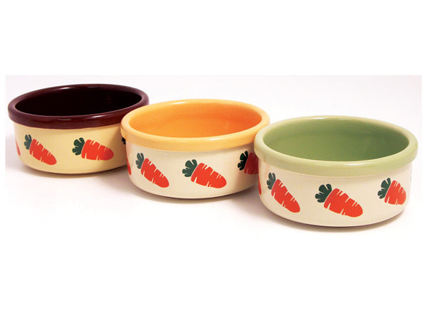 Rosewood rabbit food bowls with carrot design in brown, yellow and green.