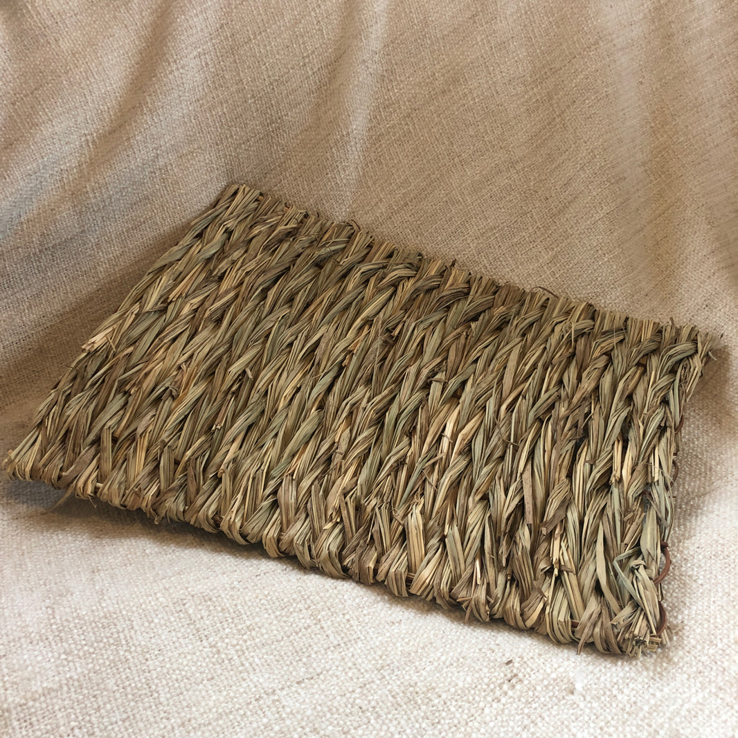 Thick Rabbit Mat Rabbit Retail | The one hop shop for you and your bunny